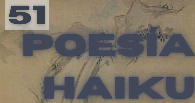 Hablamos de Haiku