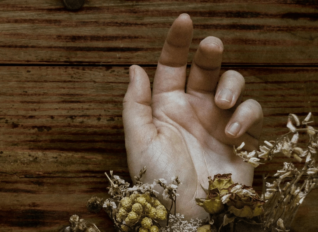 Los muertos siempre&nbsp;sonríen