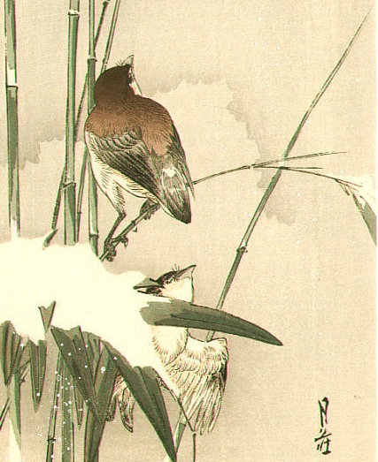 Reto de haiku. Miércoles 24/11/2021