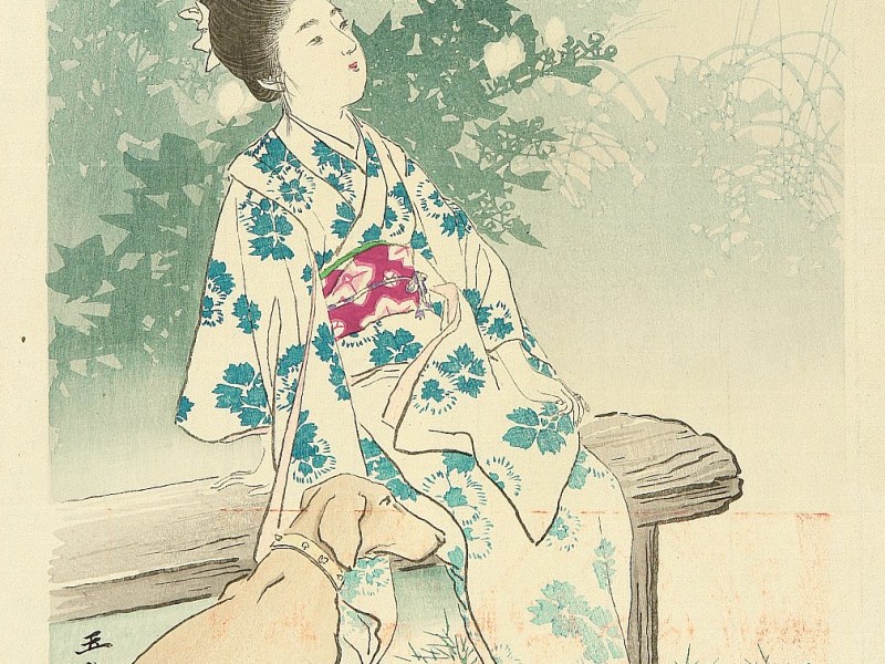 Una tarde cualquiera