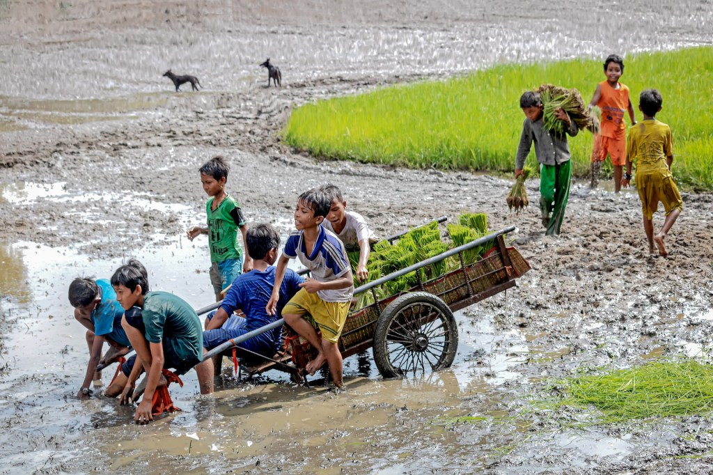 Recuerdo de otra vida