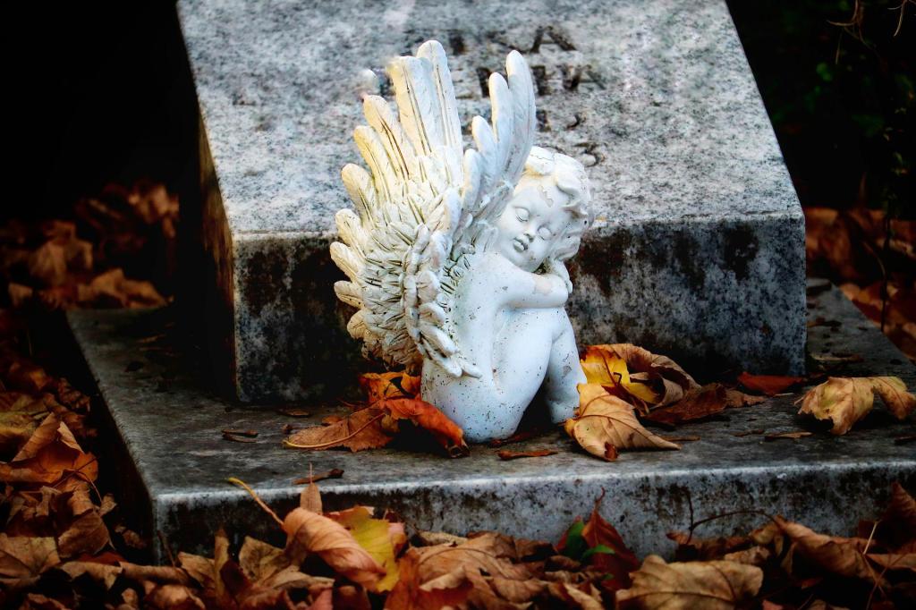 Ángel caído