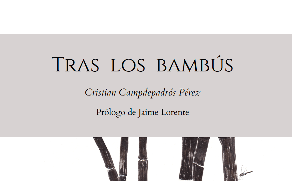 Tras los bambús