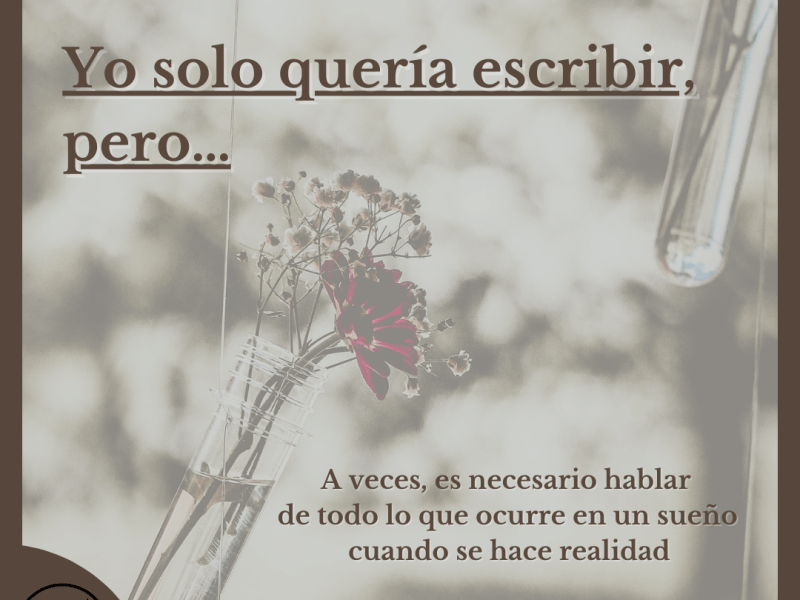 Yo solo quería escribir,&nbsp;pero…