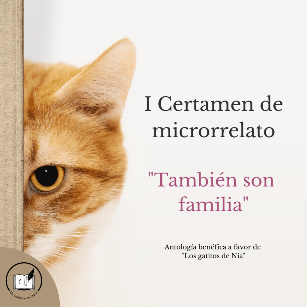 Fallo del I Certamen de micorrelato «También son&nbsp;familia»
