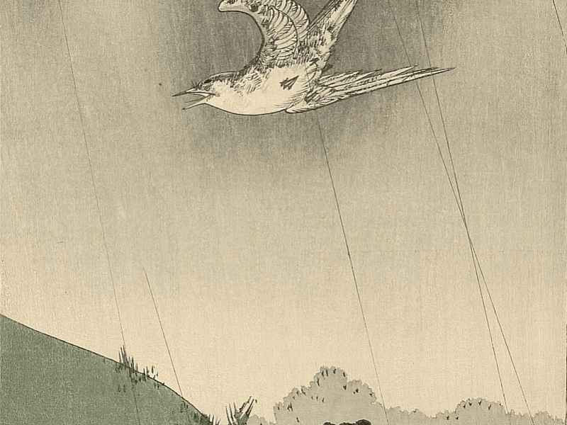 X Reto de haiku de La senda del&nbsp;haiku